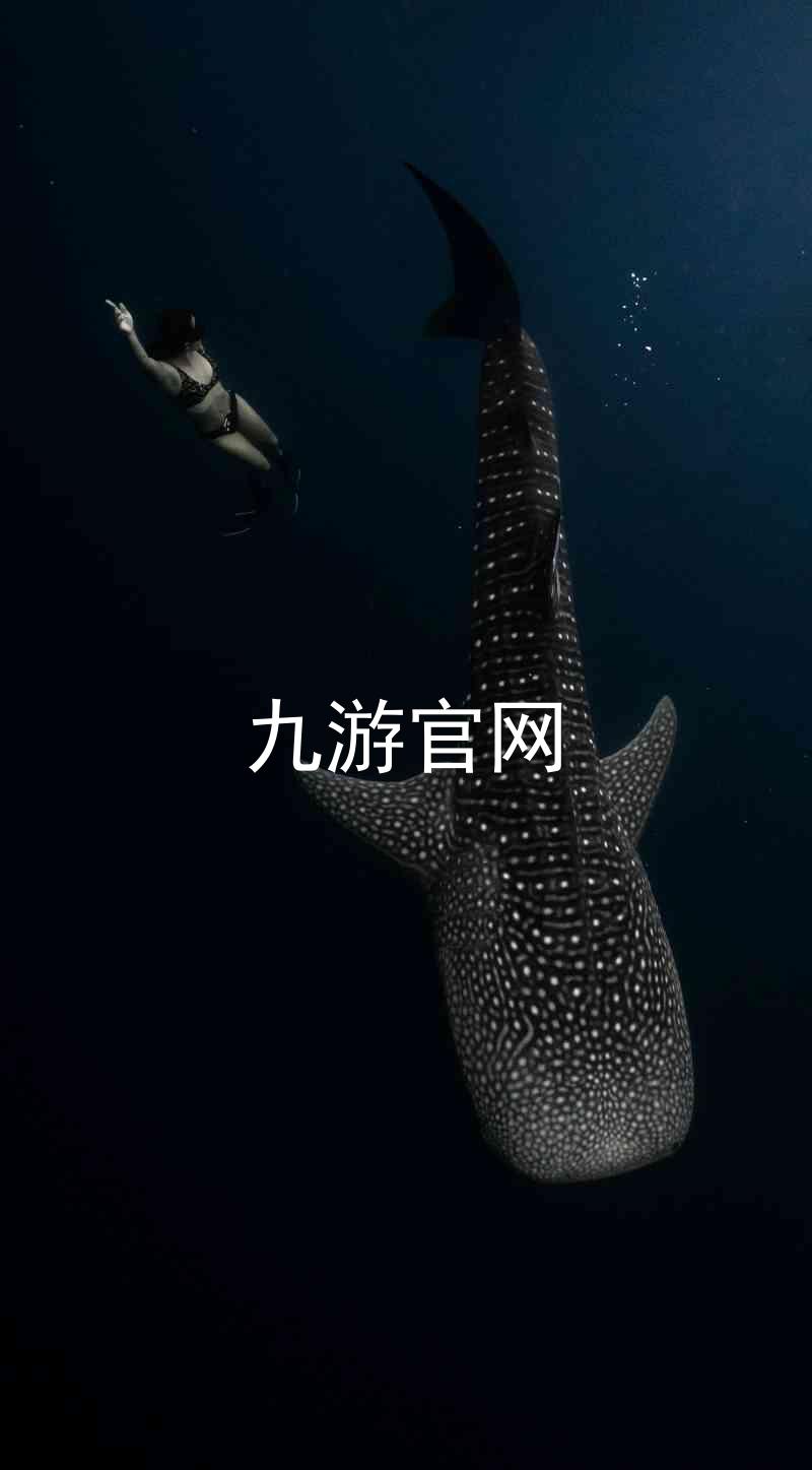 九游官网