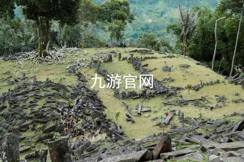 九游官网